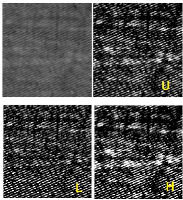 Figure 3a:  Let us use image L in the Figure 2; we can invert the colour tones with GIMP, having the panel L-I