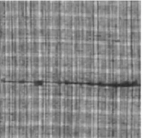 Figure 10a: A weaving mismatch in a fabric. This defect has an extension on 8-10 yarns and, sometimes, it is difficult to identify