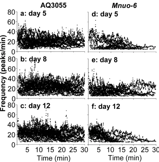 Figure 6: Evolution of the [Ca 2+ ]