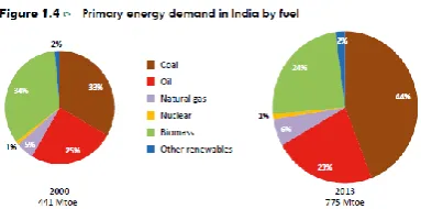 FIGURE 19.India’s energy mix  
