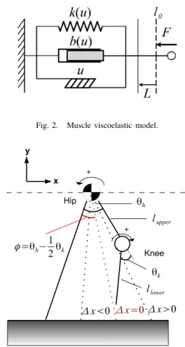 Fig. 2. Muscle viscoelastic model.