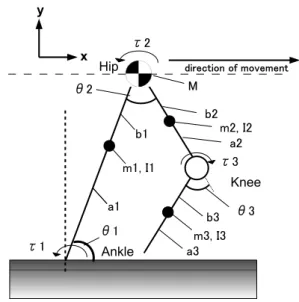 Fig. 4. The biped walking model.