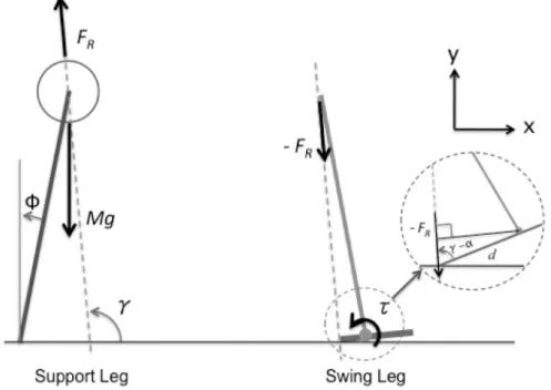 Figure 16. Modeling of the Heel Impact phase with the action and reaction force on the hip joint.