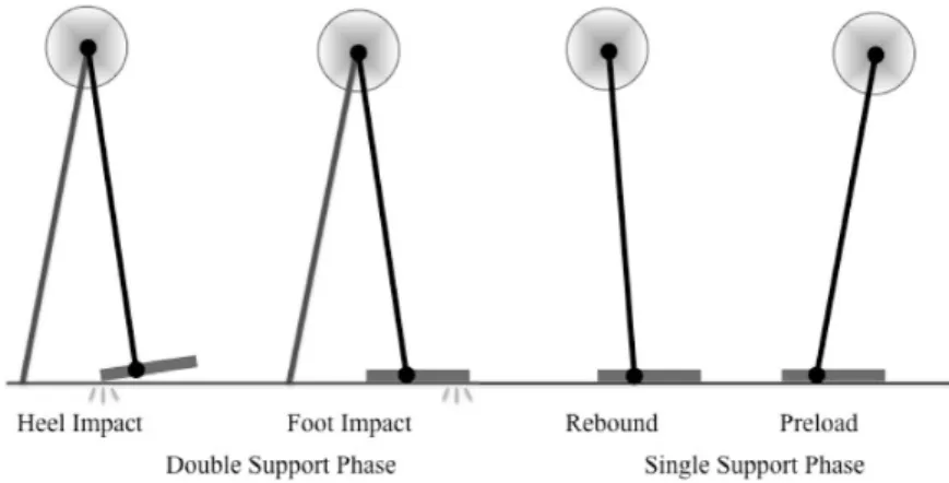Figure 14. Modeling of one bipedal walking step.
