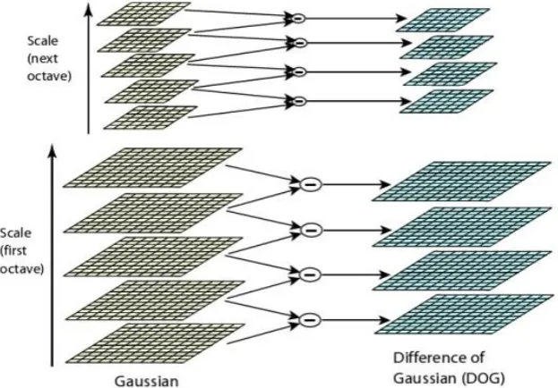 Fig. 1 Scale space diagram with different variance and resolution 
