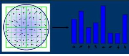 Fig. 3 Characteristic Point primary direction 
