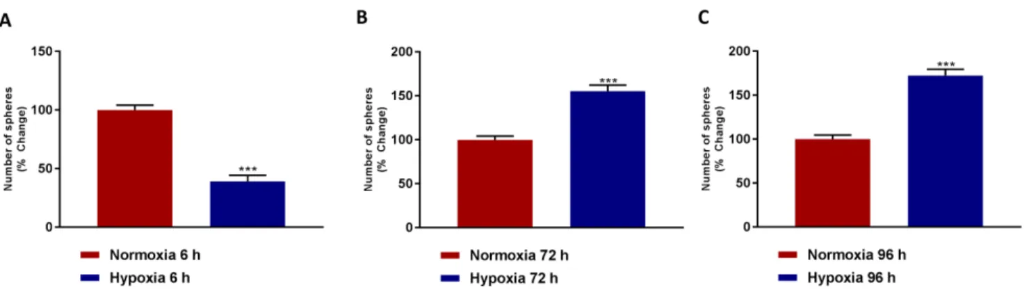 Figure 3: Mammosphere formation is reduced after acute hypoxia and increased after prolonged hypoxia