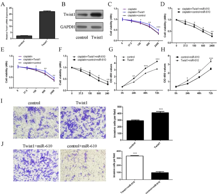 Figure 8: miR-610 increased the sensitivity of osteosarcoma cells to cisplatin and decreased the osteosarcoma cell  proliferation and invasion through downregulating Twist1
