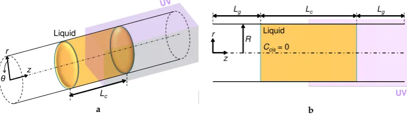 Figure 2. Coordinate system and conﬁguration of an in-tube photoisomerizable liquid column to beirradiated partially with UV light