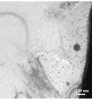 Fig. 5 Bright field TEM micrograph of indented specimen annealed at 160℃ 