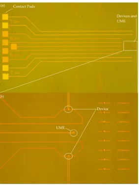 Figure 7: (a) Optical image of two devices. The electrodes are connected to contact pads via wires