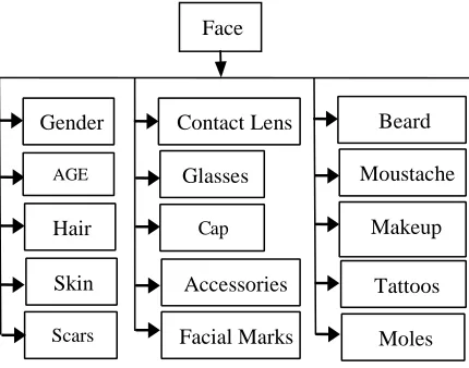 Fig. 1: Auxiliary information from the face     