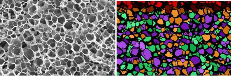 Figure 8, some small super-pixels can appear, due to the segmentation of the regions that we find between the large cells in the image