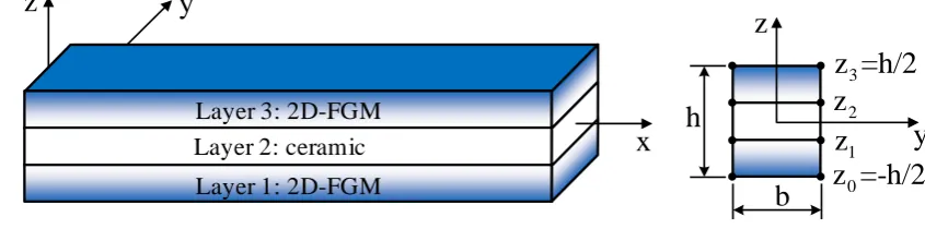 Fig. 1 Geometry of 2D-FGSW beam 