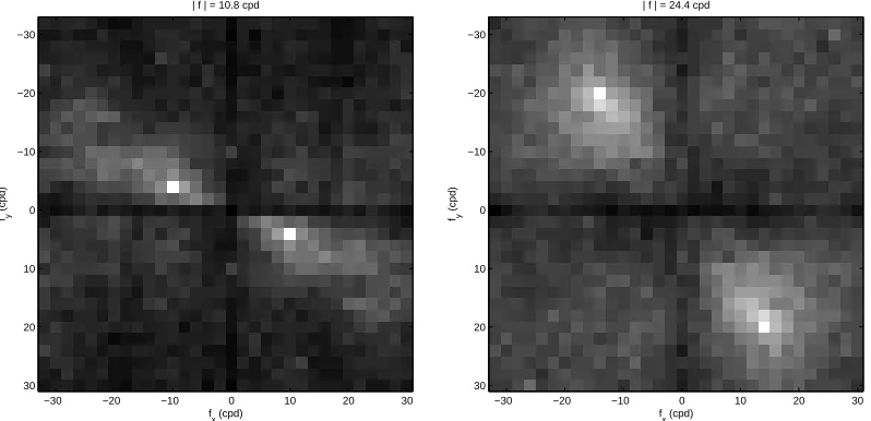 Figure 2: Statistical interaction of two particular coefﬁcients of the local Fourier Transform withtheir neighbors in a natural image database