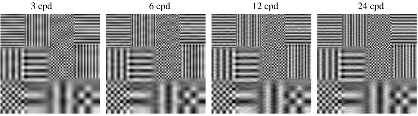 Figure 3: Illustrative example of perceptual dependence (cross-masking phenomenon). Equal en-ergy noise of different frequency content, 3 cycl/deg (cpd), 6 cpd, 12 cpd and 24 cpd,shown on top of a background image