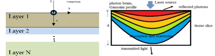 Figure 1. Model of class structure and photon scattering [11,12]