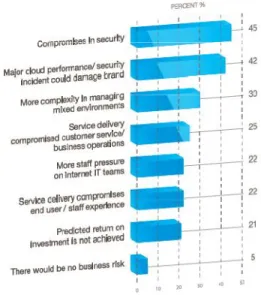 Fig. 2. Specific Business Risk of adopting cloud services [14] 