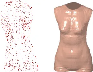 Fig. 4 A 3D BGM 