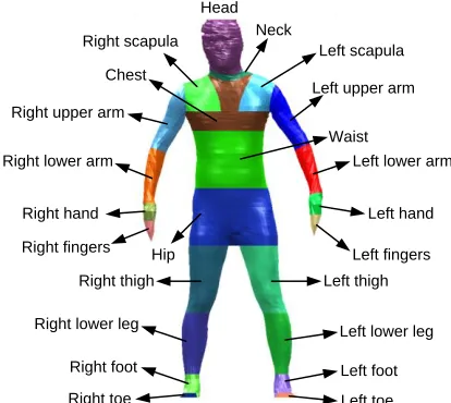 Fig. 5 Segmentation for articulated human model 