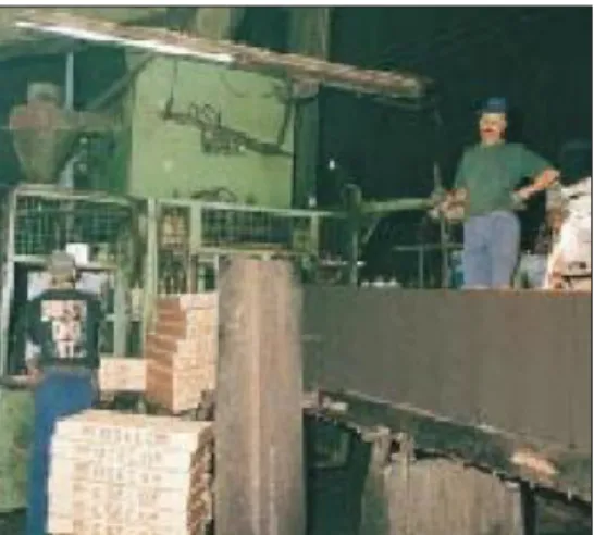 Figure 1. The Coresetter places a core inside   the mold produced inside the sand column