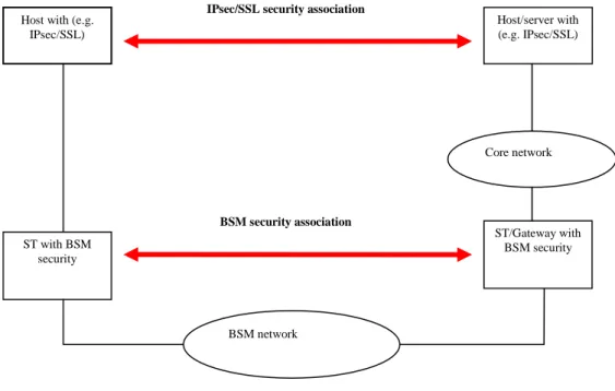 Figure 3: Combined security association (BSM and end host) 