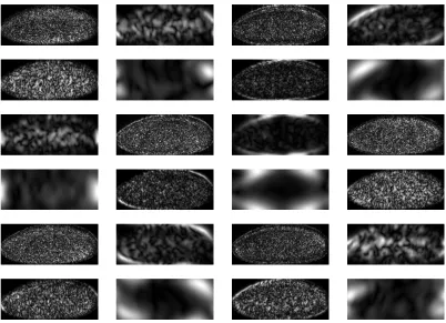 Figure 2: The 24 Gabor images extracted from a single sample image with 4 different wavelet scalesand 6 different ﬁlter orientations.