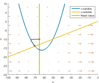 Figure 4.1: This phase plane belongs to the regular spiking neuron, this is the benchmark for the other neurons.
