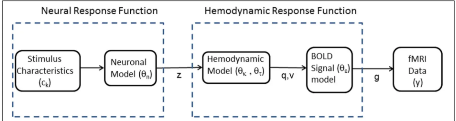 FIGURE 1 | Modular structure of generative model. Our framework proposes voxel-wise or region-wise fitting of a non-linear model to fMRI data
