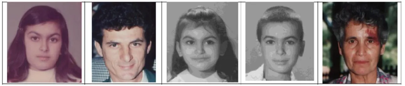 Table  ‎2-1   and  Table  ‎2-2   reveal  important  information  about  the  human’s  ability  in  estimating the age of others only by one photo