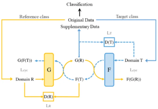 Fig. 1. The process of data augmentation using StarGAN and classification using a CNN classifier