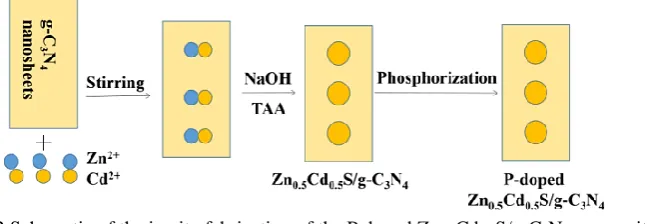 Fig. 1 XRD patterns of the as-prepared samples 