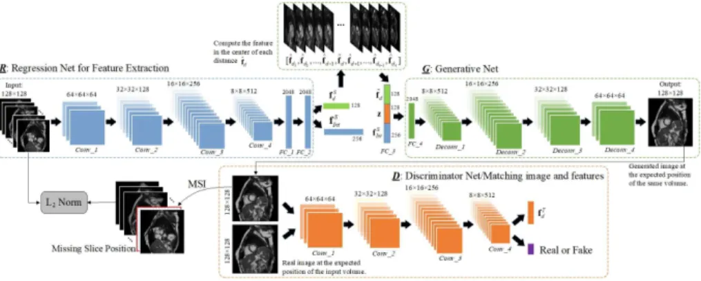 Fig. 1. Structure of the proposed MSIGAN network for cardiac missing slice impu- impu-tation