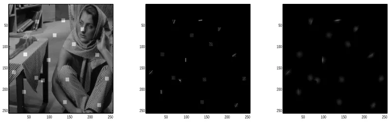 Figure 2: Left to right: image of Barbara, with several locations pi highlighted; Kt(pi,·), for t =1,2.