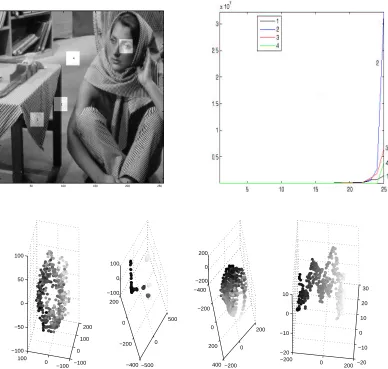 Figure 3: Top left: image of Barbara, with 4 square 10 × 10 pixel regions highlighted