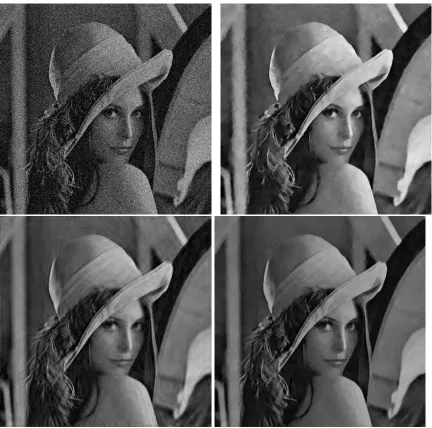 Figure 5: 1) Lena with Gaussian noise added. 2) Denoising using a 7×7 patch graph. 3) Denoisingusing hard thresholding of curvelet coefﬁcients