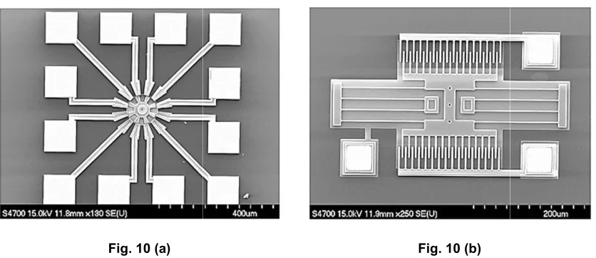 Fig. 10 (a) 