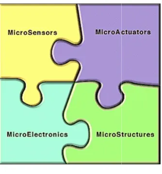 Fig. 3 (a) [19] 