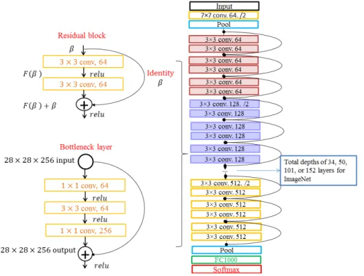 Figure 7. Residual block (top left), bottleneck layer (bottom left), and ResNet architectures (right).