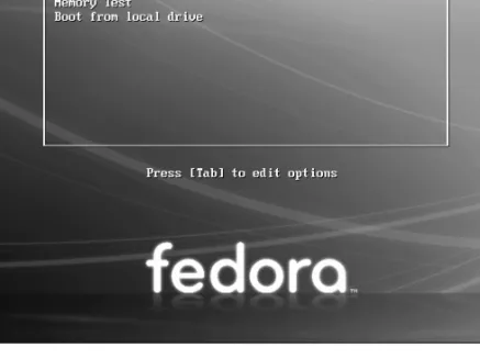 Figure 3-2 The Fedora Live Welcome menu