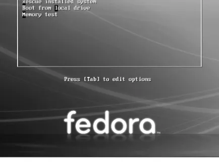 Figure 3-4 The Install DVD Welcome menu