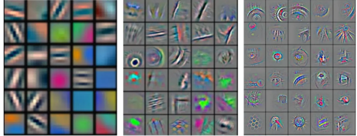 Figure 1.4: The learned representations are from coarse to ne [127].
