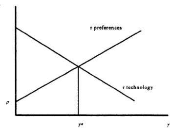 Figure 2.7 Interest rate and balanced growth rate in the knowledge-driven model.
