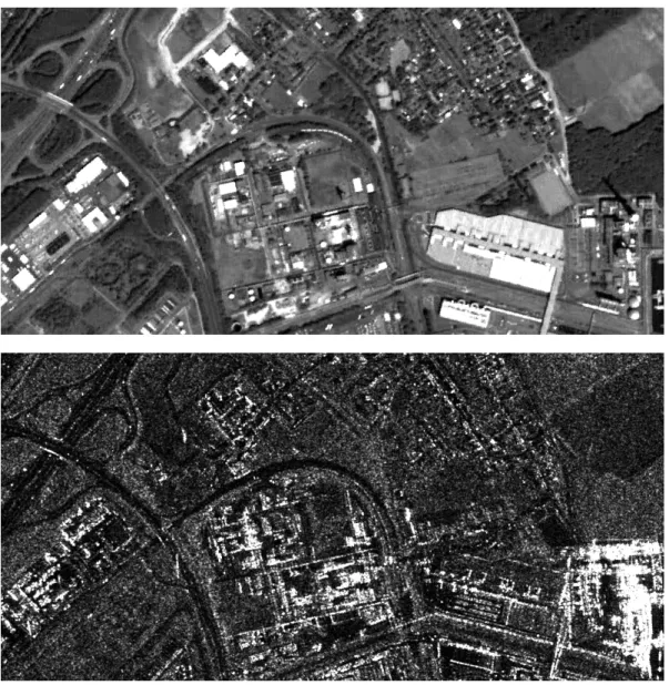 Figure 1.1: Illustration of an optical (top) and SAR image (bottom) covering the same area