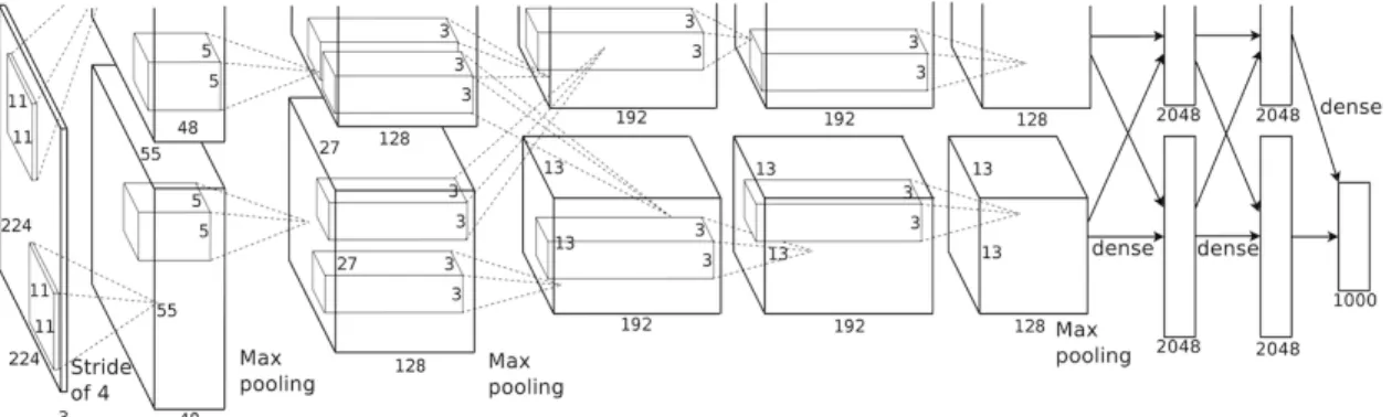 Figure 2.1: AlexNet architecture [30]. Due to the hardware limitations, the authors trained the network on two GPUs, and combined the outputs in the last dense layer to generate labels for different categories.