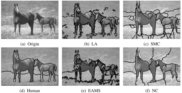 Figure 2.4: Image segmentation example on horse image [29]. 2.4a: Original Image, 2.4b: Local Variation Algorithm [21], 2.4c: Spectral Min Cut [19], 2.4d: Human Labeled [37] [38], 2.4e: Edge Augmented Mean Shift [12] [11], 2.4f: Normalized Cut [57] [15]