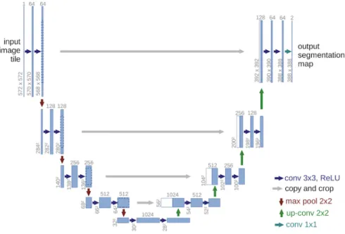 Figure 2.7: U-Net Architecture [51].