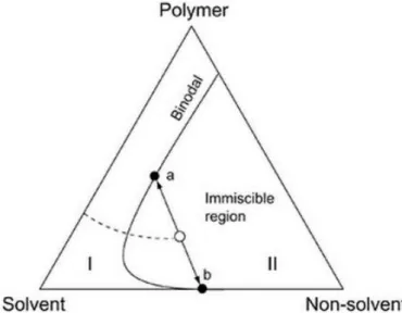 Figure 4: Ternary diagram in which the demixing of a polymer solution upon the introduction of a non-solvent is displayed