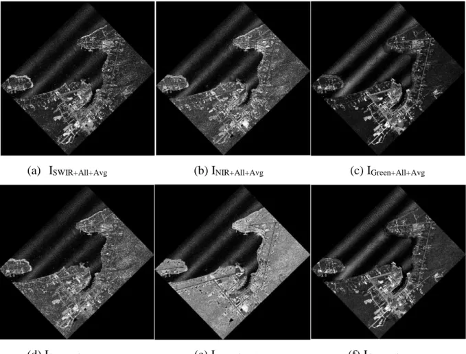 Figure 3.3 Multispectral ALS on the study area 