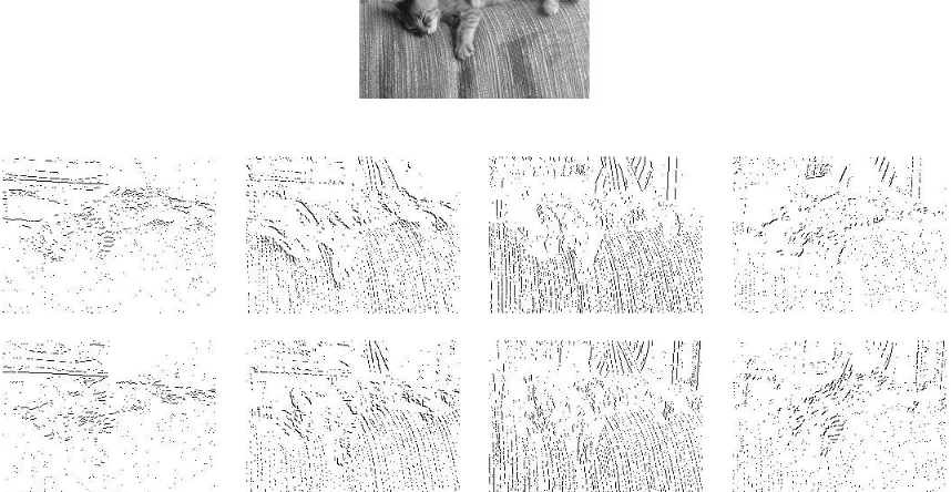 Figure 7: Our edge-detectors: For each of four orientations and two polarities, an edge is detected ata certain location (the dark circle) if the absolute difference between the intensities of thetwo pixels linked by the thick segment is greater than each of the six intensity differencesfor pixels connected by a thin segment.